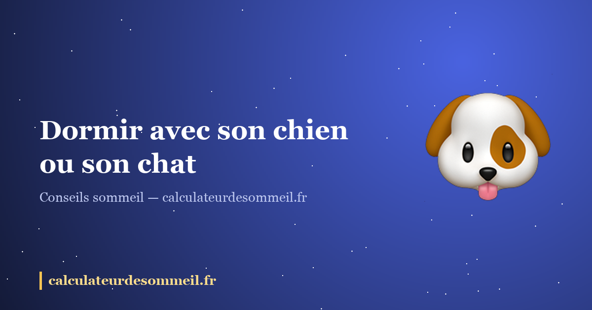 Dormir avec son chien ou son chat : ce que ça change vraiment pour vos nuits : illustration
